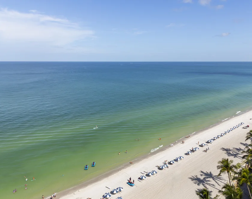 LaPlaya Beach & Golf Resort - Aerial Gulf Coastline