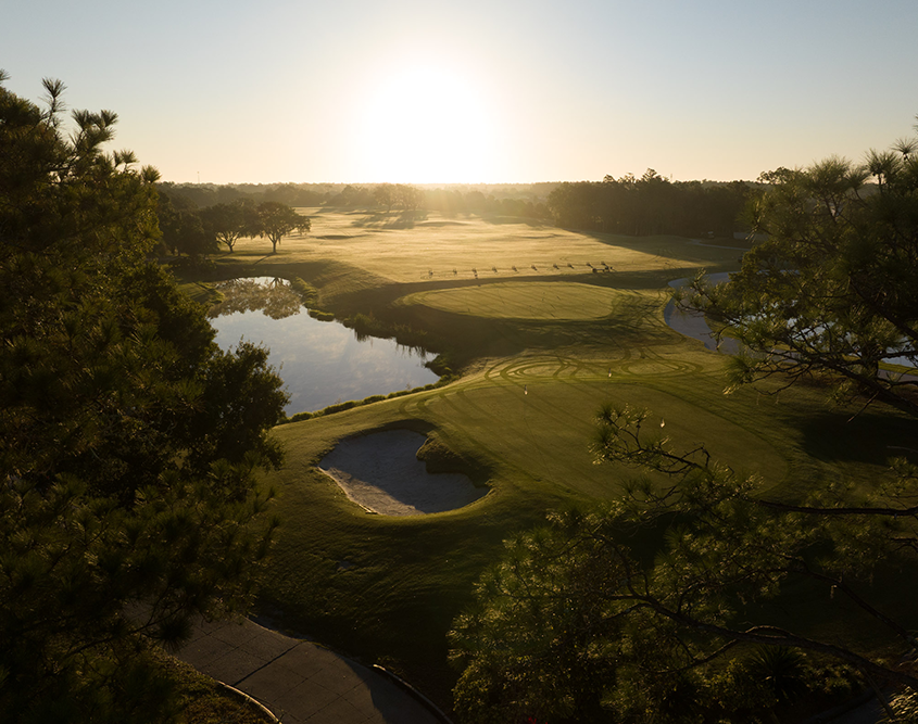 Saddlebrook Resort - Golf Course at Sunrise