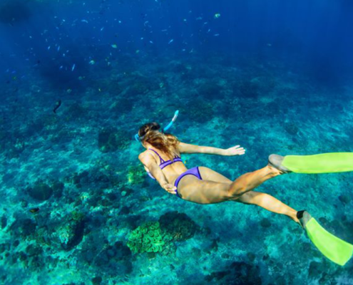 Hawks Cay Resort - Snorkeling