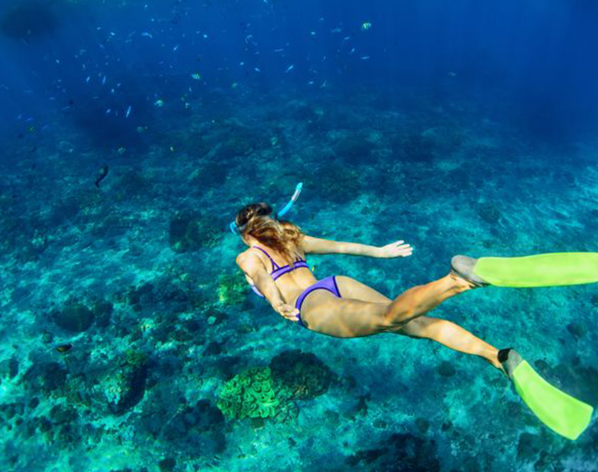 Hawks Cay Resort - Snorkeling
