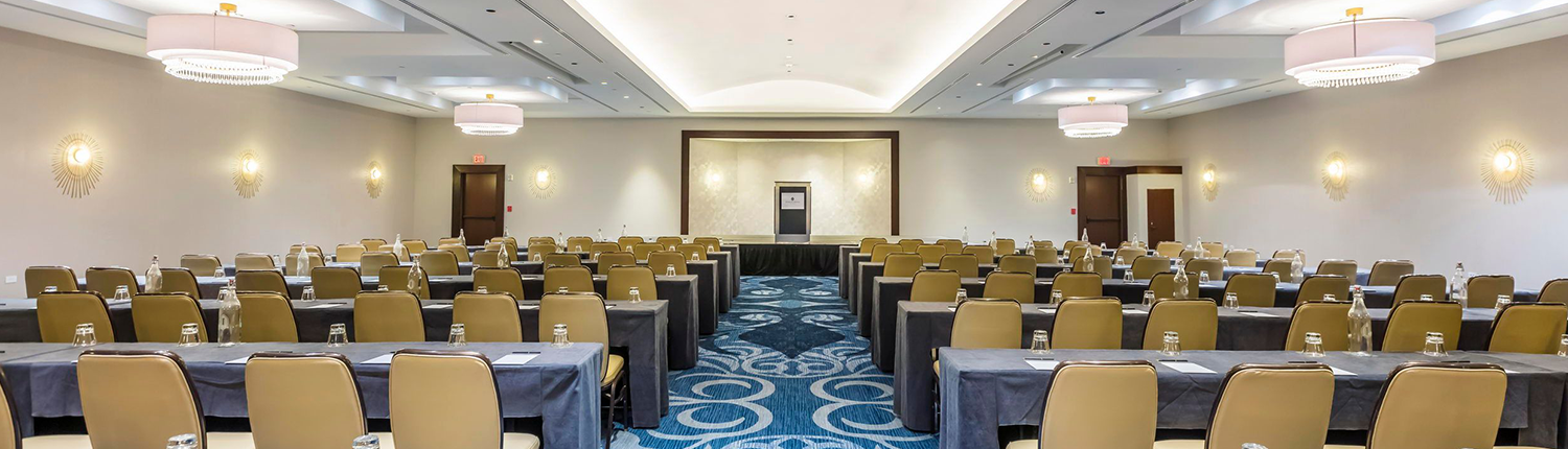 Royal Sonesta San Juan - Palmar Meeting Room