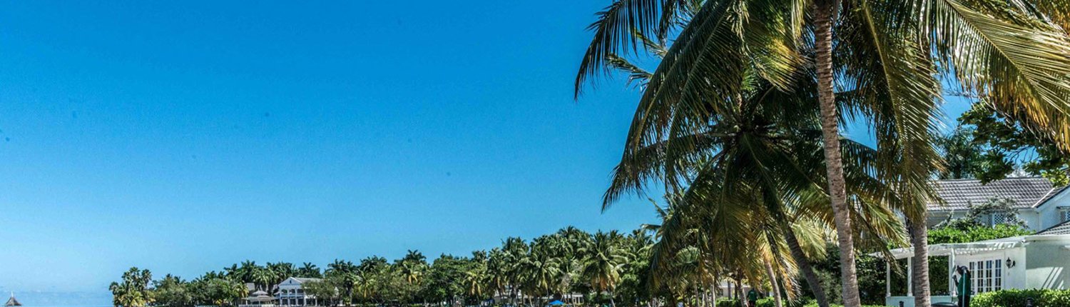 Half Moon Beach 1500