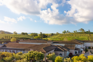 The Meritage Resort and Spa - Meritage Resort