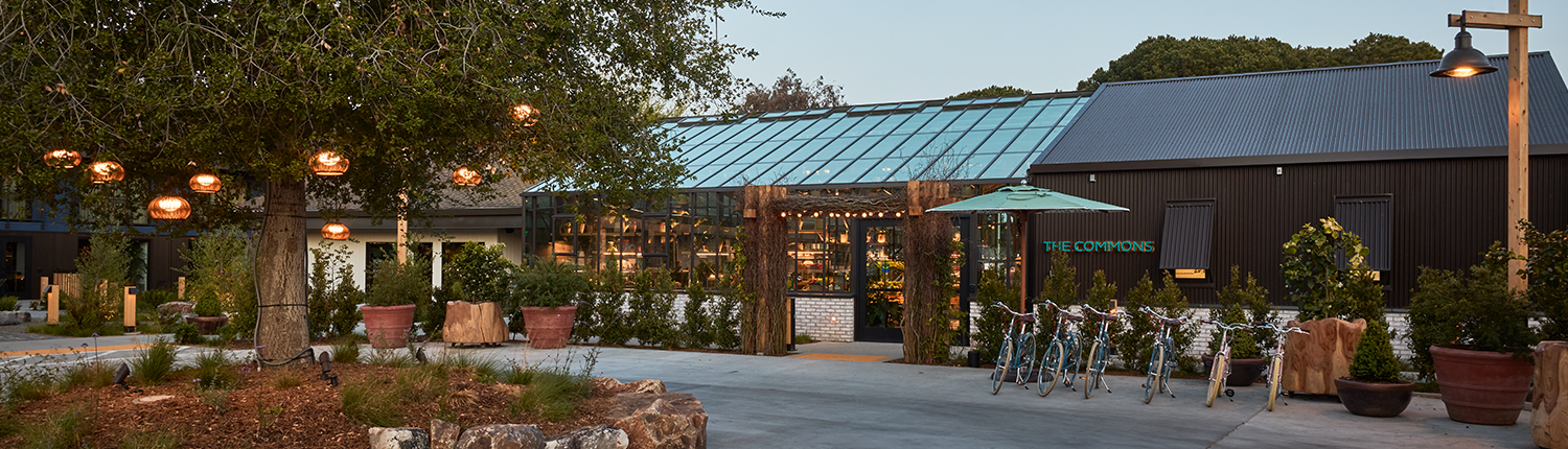 Treehouse Silicon Valley - Arrival