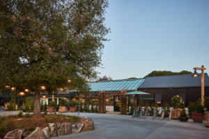 Treehouse Silicon Valley - The Commons Arrival & Biking