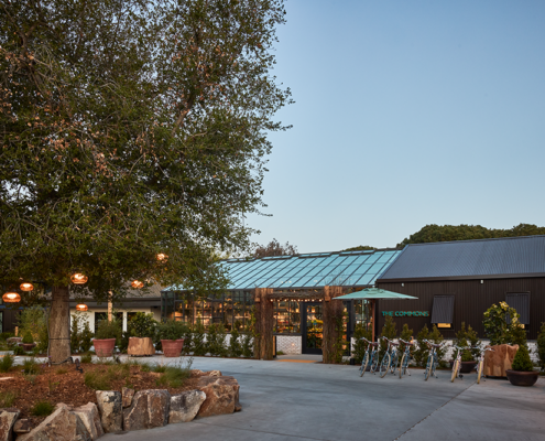 Treehouse Silicon Valley - The Commons Arrival & Biking