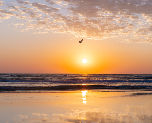 Margaritaville Beach Resort South Padre Island - Beach Sunset