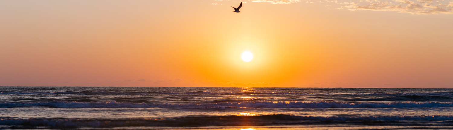 Margaritaville Beach Resort South Padre Island - Sunset