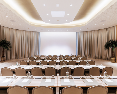 Anantara Plaza Nice - Meeting Room