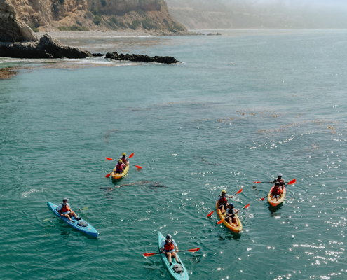 Terranea Resort - Kayaking