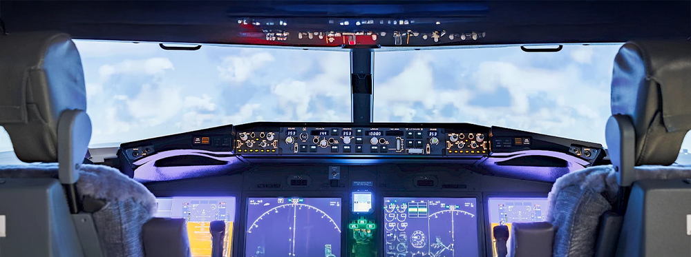 Hotel Polaris flight simulator