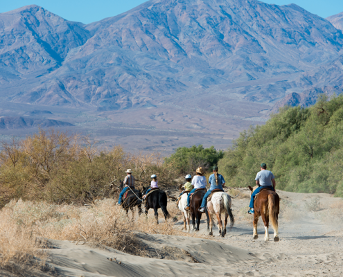 The Oasis at Death Valley - Horseback Riding