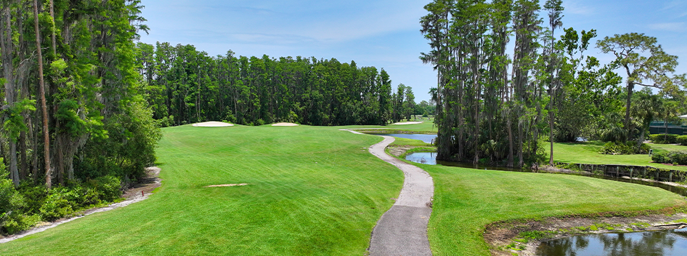 Saddlebrook Golf Course Golf course at Saddlebrook Resort