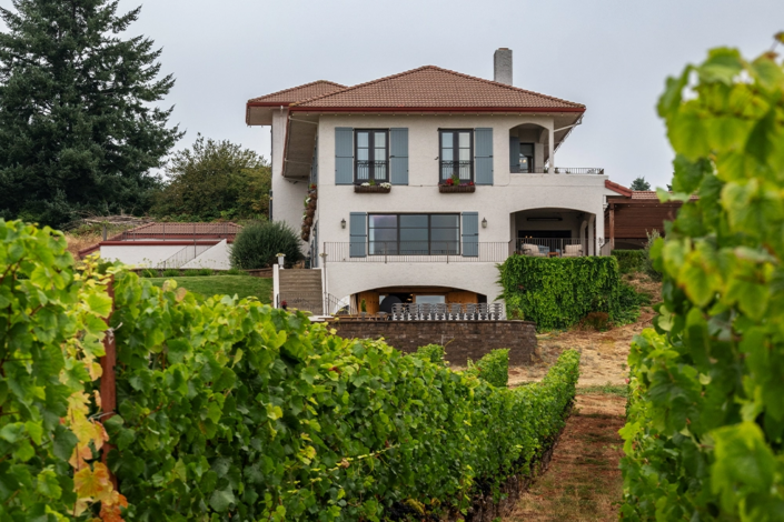 Black Walnut Inn & Vineyard – Exterior from Vineyard Black Walnut Inn & Vineyard - Exterior from Vineyard