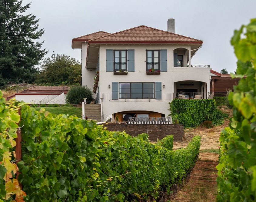 Black Walnut Inn & Vineyard - Exterior from Vineyard Black Walnut Inn & Vineyard - Exterior from Vineyard