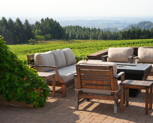 Black Walnut Inn & Vineyard - Outdoor Lounge near Vineyard Black Walnut Inn & Vineyard - Outdoor Lounge near Vineyard