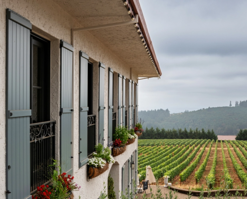 Black Walnut Inn & Vineyard - Vineyard Black Walnut Inn & Vineyard - Vineyard