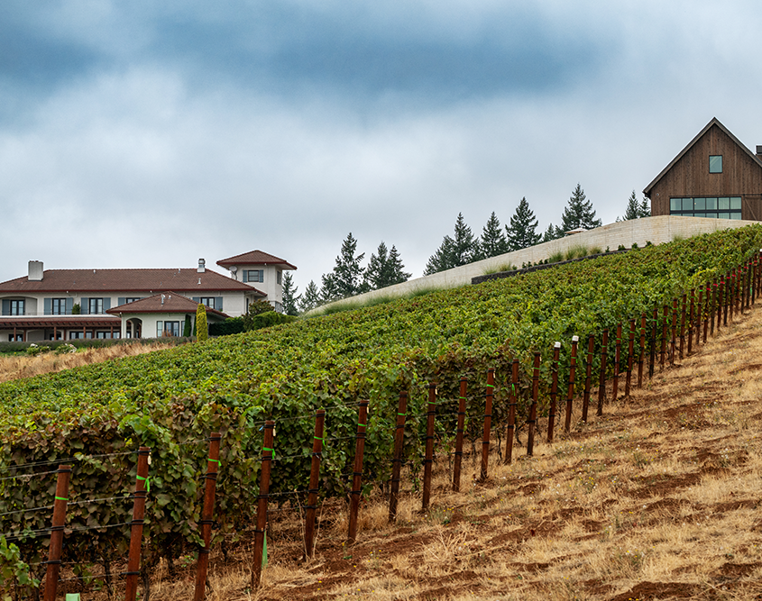 Black Walnut Inn & Vineyard - Vineyards & Exterior Black Walnut Inn & Vineyard - Vineyards & Exterior