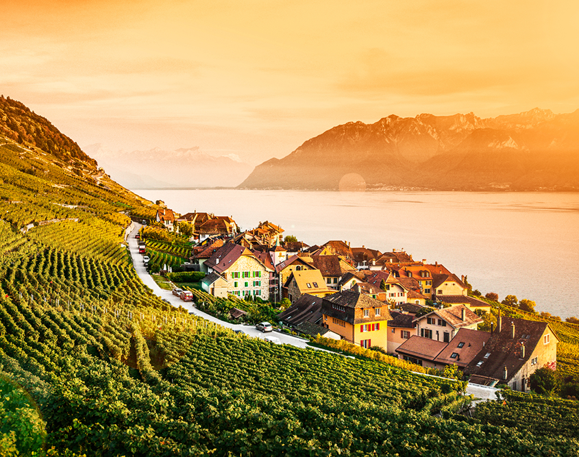 Fairmont Le Montreux Palace - UNESCO Lavaux Vineyard Terraces