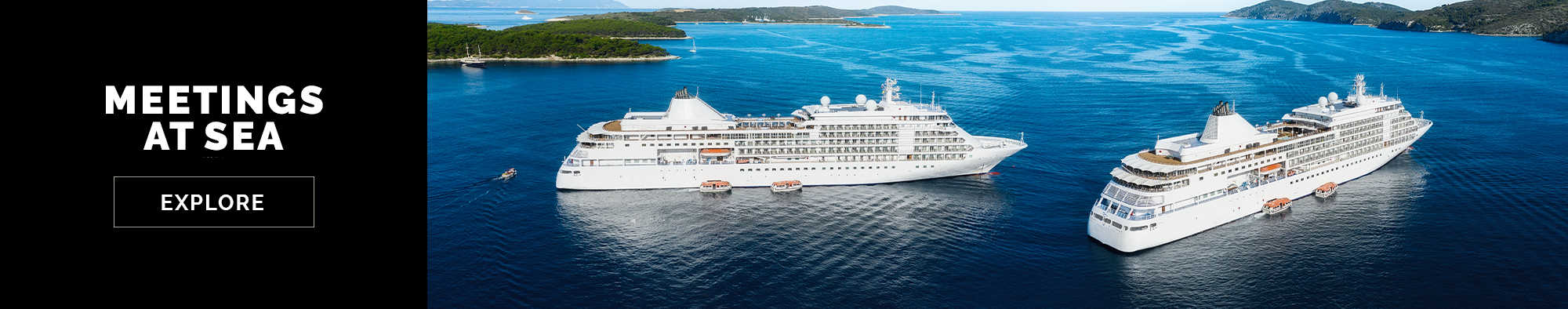 Meetings AT Sea Cruise Experience Banner