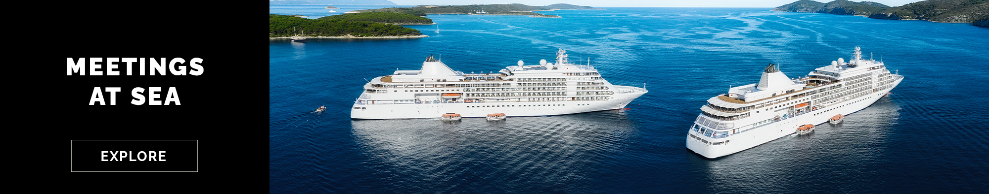 Cruise Experience Banner