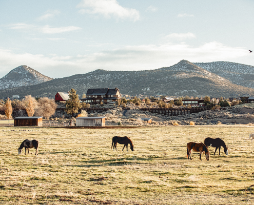 Brasada Ranch - Field