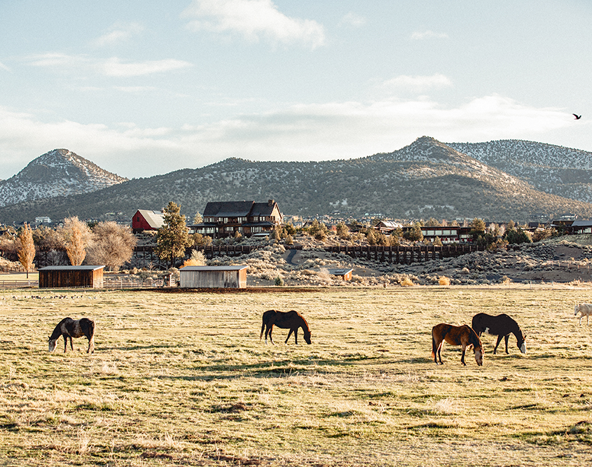 Brasada Ranch - Field